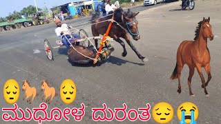 🚩💫ಮುಧೋಳ್ ಜೋಡು ಕುದುರೆ ರೇಸ್ ಪ್ರಥಮ ಬಹುಮಾನ 20000🐴🥇ದುರಂತ 😔😔😔😔