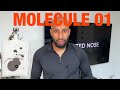 MOLECULE 01 … DOES IT WORK? (Review)