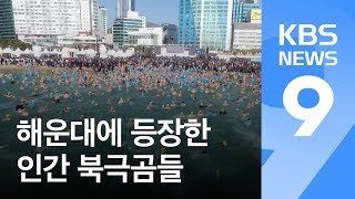 [영상] ‘인간 북극곰’ 겨울바다에 ‘풍덩’ / KBS뉴스(News)