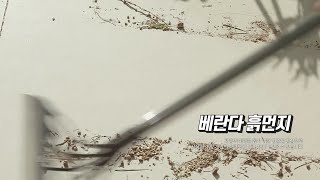 슈퍼빗자루 쓰리잘비╰(*°▽°*)╯