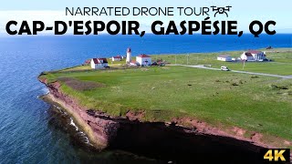 ⚜️ Breathtaking Aerial Views of Cap-d'Espoir, Gaspésie, Québec 🇨🇦 | DJI Mini 2 in 4K! 🛩️