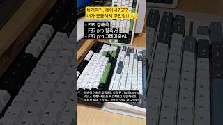 (😱이솔이 아빠) 독거미 기계식 키보드✨️경해축 vs 황축 vs 그레이축!!