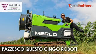 Cingo M600aE (by Merlo), Giulia lo \