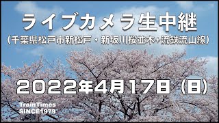 【ライブカメラ】生中継／千葉県松戸市新坂川桜並木／2022年4月17日【桜並木・流鉄流山線リアルタイム配信】【チャット休止】