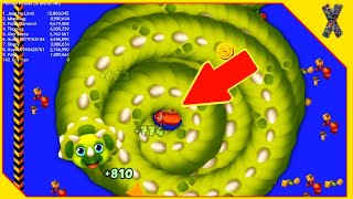 🐍 WORMS ZONE.IO a Slither Snake - Cute Little Dino Worms Against All Giant Worms - Xmood Roy