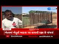 arvalli villagers in fear since 2 days after seeing leopard gujarati news zee 24 kalak