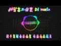 抖音言不由衷 Dj remix DOU YIN YAN BU YOU ZHONG Liric Pinyin #music #remix #djremix #liriklagu