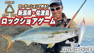 秋の佐渡をラッシュダイブで釣る/佐渡ビッグゲーム