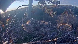 Latvian WTE~Raimis brings a huge fish~6:21 am  2020/04/27