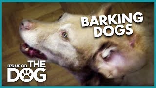 How to Stop Your Dog from Barking | It's Me or the Dog