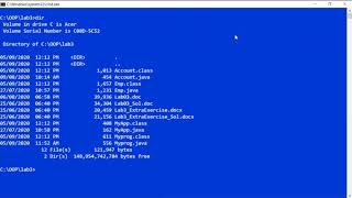 Object Oriented Programming: Lab03 - Part 1