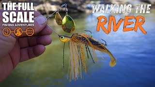 Walking The River For Murray Cod | The Full Scale