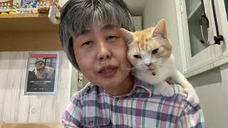 猫動画ではなくビワ温灸の紹介です