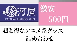 【福袋】なんど買っても損しない！駿河屋お得袋500円