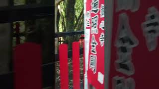 お寺巡り！観心寺の風景に癒される動画【No.12】