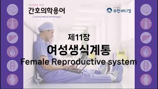 [간호의학용어] 제11장 - 여성생식계통 Female Reproductive system