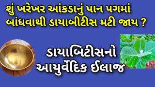 શું આંકડાનું પાન પગમાં બાંધવાથી ડાયાબિટીસ મટી જાય ? ડાયાબિટીસનો આયુર્વેદિક ઈલાજ