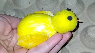 Making a Chick from Egg Shell / Preschool Activity