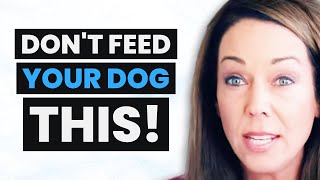 Holistic Vet: NEW SCIENCE on the Best & Worst DOG FOODS | Dr. Karen Becker