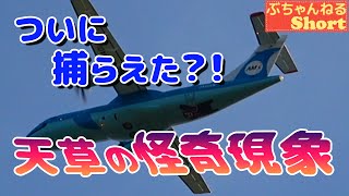 ついに捕らえた?! 天草の怪奇現象