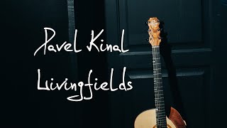 Pavel Kinal - LivingFields (album: Reflections)