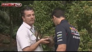 2015 V8 Supercars - Jamie Whincup bitten by snake