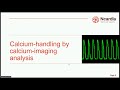 multi parametric safety assessment of hipsc derived ncyte cardiomyocytes