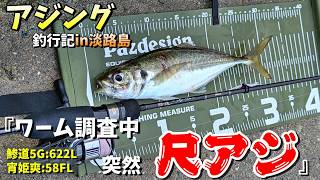 【尺アジングin淡路島】尺アジ釣れたよ😳雨の中のワーム調査（10/30㈮）ジグ単の尺アジは面白過ぎる！　　【鯵道５G６２２L】・【宵姫爽５８FL】