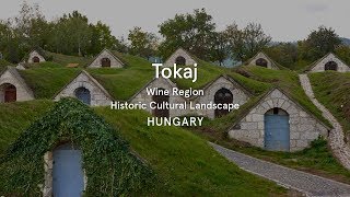 Tokaj Wine Region, Hungary - World Heritage Journeys