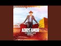 Adios Amor