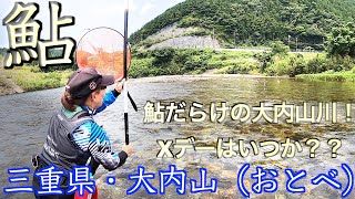 【三重県・大内山川】鮎はよく見えるが渋すぎた・・・