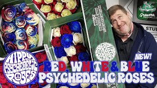 JFTV: Hippy Psychedelic Roses 4th of July Patriotic Red, White \u0026 Blue Roses with Mike