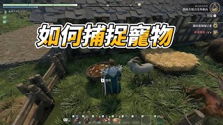 【霧鎖王國】enshrouded 如何捕捉寵物 新手指南