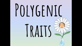 Polygenic Traits