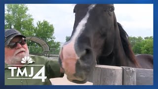 Veteran heals PTSD with the help of horses