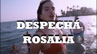 Rosalia - Despechá (Letra Lyrics) Baby no me llames