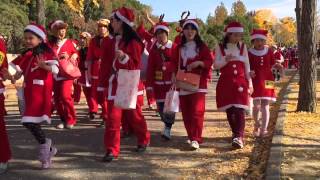 Osaka Great Santa Run 2014