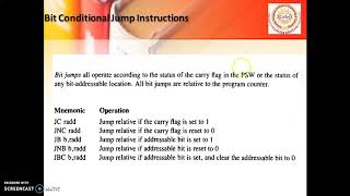 Bit Conditional Jump Instructions