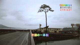 被災地は今！東日本大震災　岩手県陸前高田市　2011