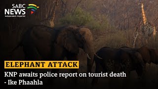 Elephant Attack | KNP awaits police report on tourist death - Ike Phaahla