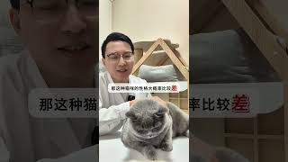 新手接猫的时候，如何判断一只猫的性格好不好？