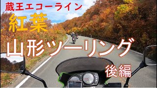 30代50代60代が行く紅葉の山形ツーリング　鳩峰峠⇒蔵王エコーライン⇒中華亭分店⇒七ヶ宿ダム⇒小坂峠【モトブログ】