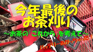 今年最後のお茶刈り～お茶の「これから」を考えて～