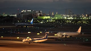 Osaka Itami Airport