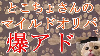 【遊戯王】この900円オリパ強すぎてヤバいｗｗｗ