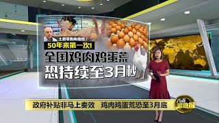 政府补贴非马上奏效 鸡肉鸡蛋荒恐至3月底 | 八点最热报 13/02/2022