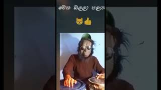 #rap #නිව් song shan පුතා#subscribe 🔔🔔🤡👹