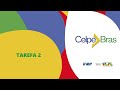 celpebras 2023.1 tarefa 2 mulher e futebol