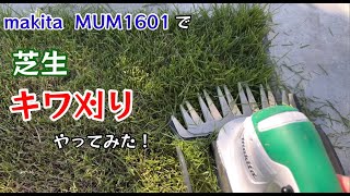 芝生 キワ刈りやってみた！バリカン式芝刈り機 makita MUM1601使ってみた！【118のりのり】