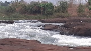 #महाराष्ट्रातील-पाताळगंगा नदी Patalganga River Flow khopoli khalapur नदीतील मासेमारी